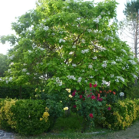 Tadinum Romana Vakantiehuis *