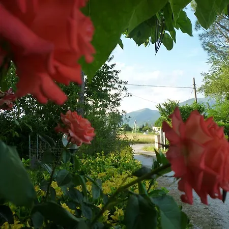 Tadinum Romana 구아르도타디노