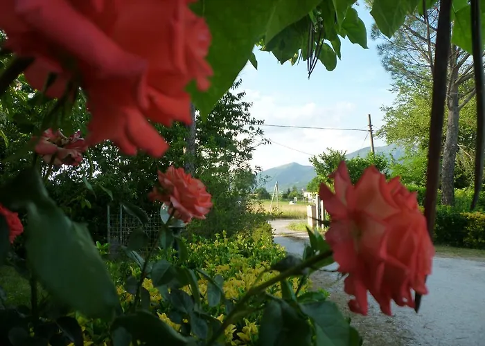 Tadinum Romana 구아르도타디노